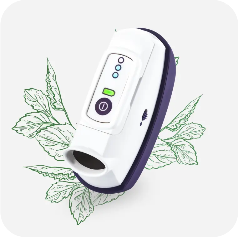 Display image: /assets/purpleDeviceMint-DCBPbwL1.webp